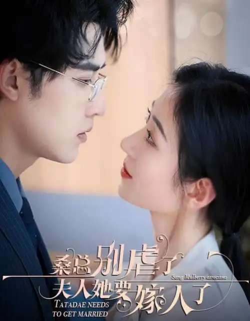 山河月明电视剧海报